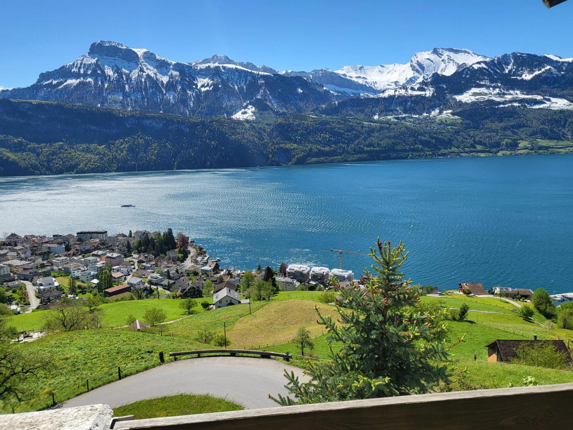 Hotel Platten Apartment Gersau Bagian luar foto